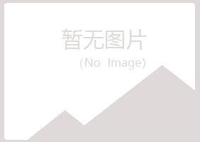 桐城盼夏能源有限公司